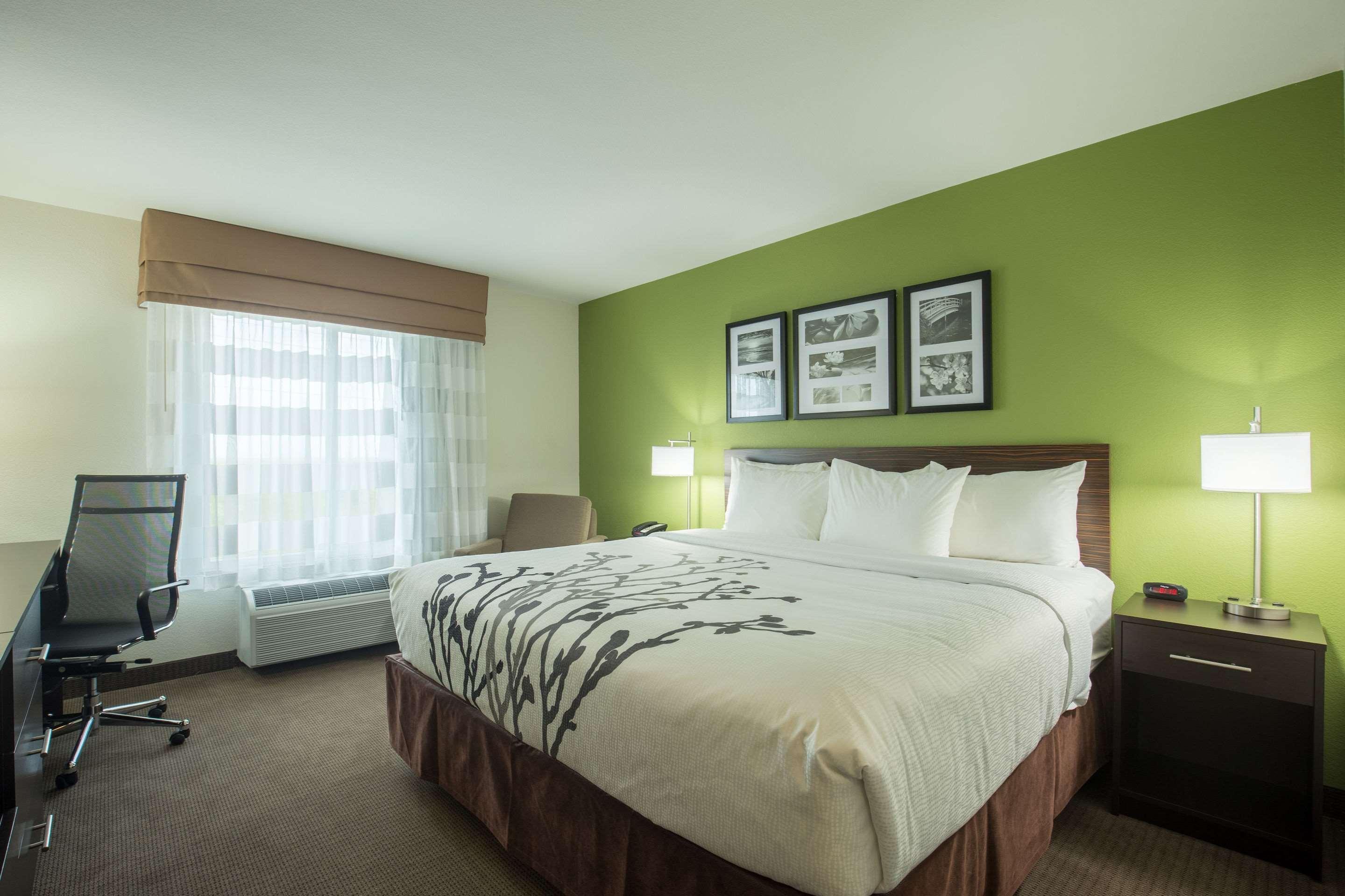אינגלסייד Sleep Inn & Suites מראה חיצוני תמונה