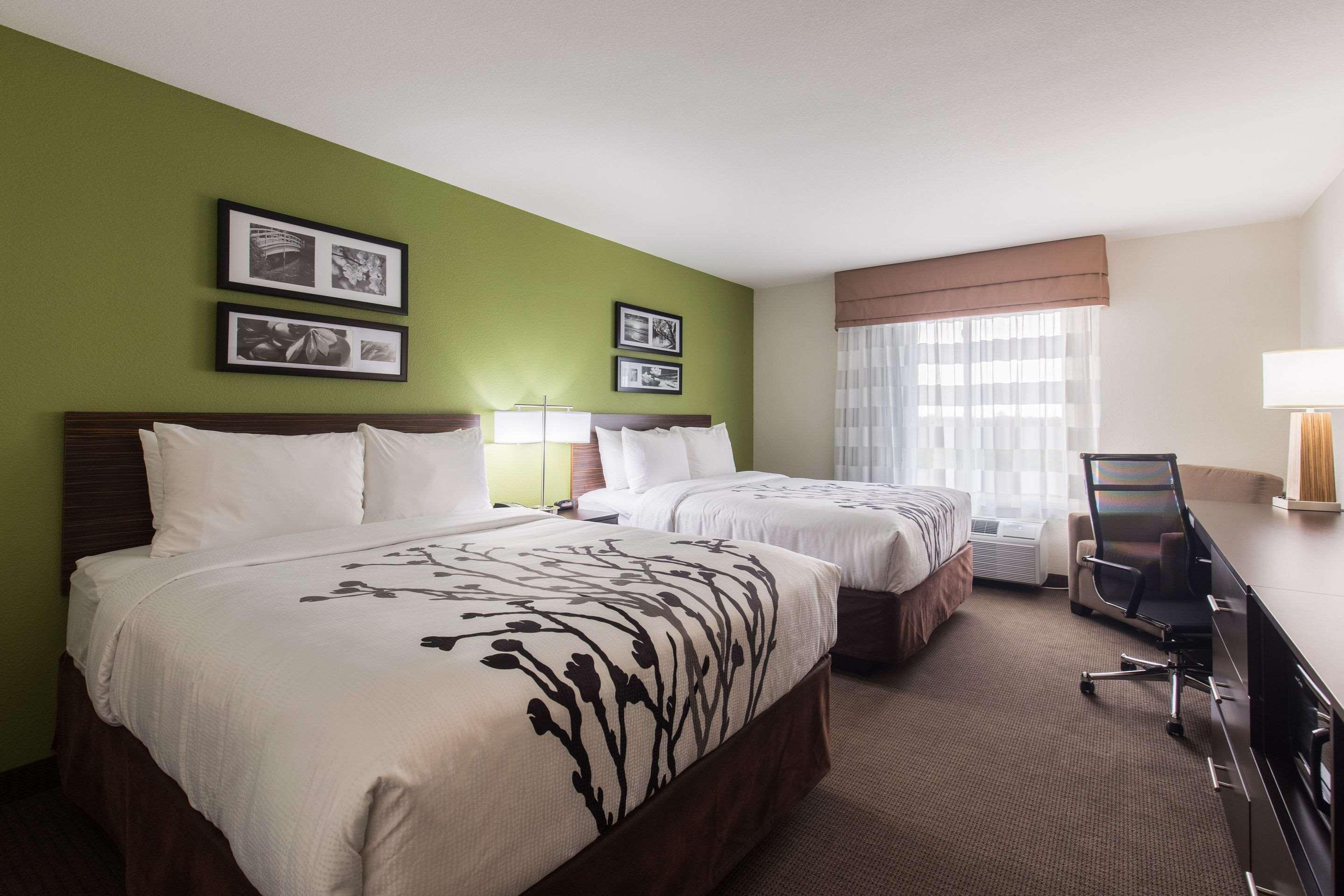 אינגלסייד Sleep Inn & Suites מראה חיצוני תמונה
